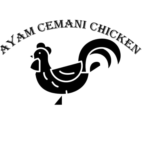 Ayam Cemani Chickens 